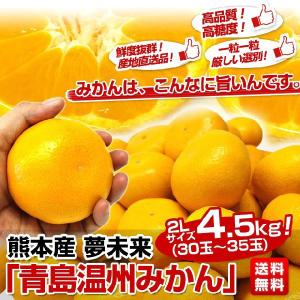 熊本産　夢未来・青島みかん２Lサイズ　4.5キロ1箱（約30玉前後）⇒1,980円・送料無料 みかん ミカン 蜜柑