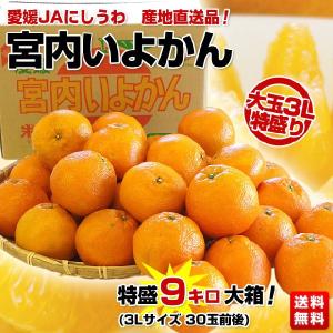 愛媛 JAにしうわ 「宮内いよかん」 9キロ箱　大玉3Lサイズ⇒2,699円・送料無料！ 伊予柑  いよかん　イヨカン