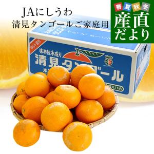 愛媛県より産地直送 JAにしうわ三崎共選 清見タンゴール （清見オレンジ）ご家庭用 3LからMサイズ 約5キロ (16玉から35玉前後) 送料無料 柑橘 オレンジ 西宇和