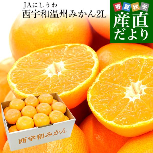 愛媛県より産地直送 JAにしうわ 西宇和温州みかん 2Lサイズ 約5キロ（35玉前後）　送料無料 み...