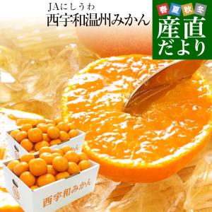 愛媛県より産地直送 JAにしうわ 西宇和温州みかん 極旨小玉