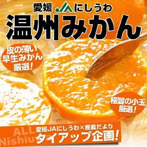 送料無料　愛媛 JAにしうわ 極旨小玉 温州みかん 3キロ 小玉(36玉から48玉)　みかん　ミカン