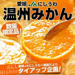 愛媛 JAにしうわ 温州みかん5キロ1箱⇒1,980円！ お一人様2箱まで みかん　ミカン