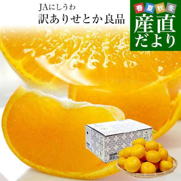 愛媛県 JAにしうわ せとか 良品 ちょっと訳あり 約2.5キロ 3LからLサイズ （8玉から13玉...