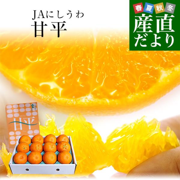 愛媛県より産地直送 JAにしうわ 甘平(かんぺい) 秀品 3LからLサイズ 3キロ(10玉から15玉...