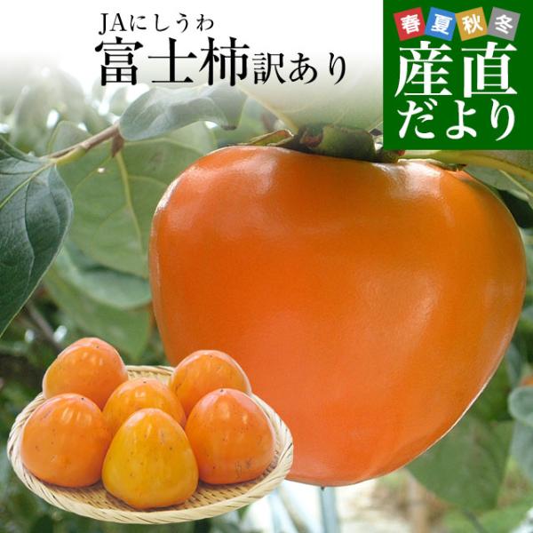 愛媛県より産地直送 JAにしうわ 富士柿 訳あり 2キロ(5玉から6玉) 送料無料 柿 かき ふじが...
