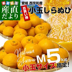 愛媛県より産地直送 JAにしうわ しらぬひ 小玉 Mサイズ 5キロ (28玉前後) 送料無料 柑橘 オレンジ 不知火 しらぬい 西宇和 八幡浜
