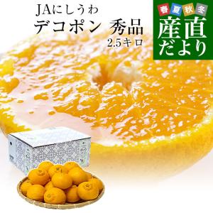 愛媛県 JAにしうわ デコポン 秀品  約2.5キロ 3LからLサイズ（9玉から12玉）でこぽん 柑橘 オレンジ 西宇和 八幡浜