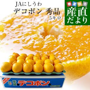 愛媛県より産地直送 JAにしうわ デコポン 秀品 3LからLサイズ 5キロ（18玉から24玉前後）送料無料 でこぽん 柑橘 オレンジ 西宇和 八幡浜｜sanchokudayori