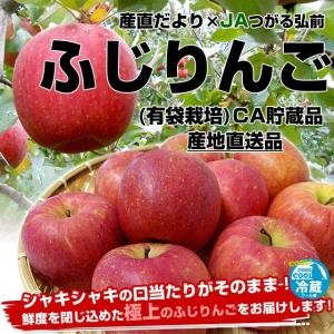 送料無料　青森県産　JAつがる弘前　「ふじりんご（有袋栽培）」　CA貯蔵品　約3キロ（9から13玉）：クール便対応　りんご　リンゴ