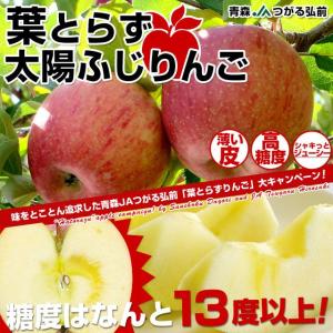 【送料無料】青森JAつがる弘前 糖度13度以上「葉とらず太陽ふじりんご」約3キロ（9玉から13玉）×2箱　りんご　リンゴ　林檎