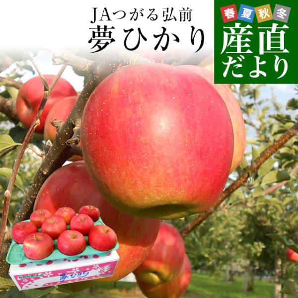 青森県より産地直送 JAつがる弘前 夢ひかり 3キロ(9玉から13玉) 林檎 リンゴ 送料無料