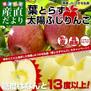 お一人様2箱まで！ 送料無料　JAつがる弘前　葉とらず太陽ふじりんご　糖度13度以上　約3キロ（9から13玉）　林檎　りんご　リンゴ