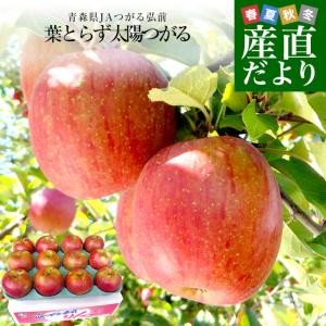 青森県より産地直送 JAつがる弘前 葉とらず太陽つがる 約3キロ(9玉から13玉)　りんご　リンゴ　林檎｜産直だより