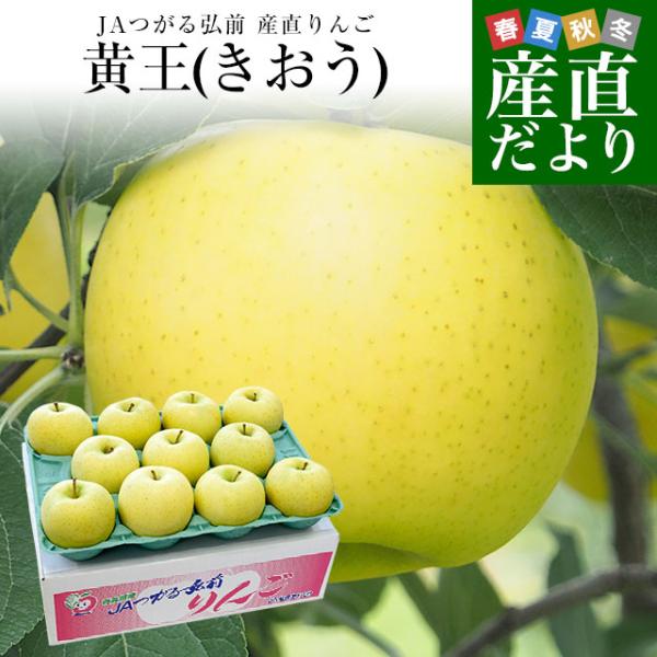 青森県より産地直送 JAつがる弘前 産直りんご 黄王(きおう) 約3キロ (9玉から13玉) 送料無...