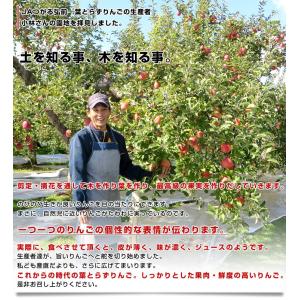 青森県から産地直送 JAつがる弘前 葉とらず太...の詳細画像5