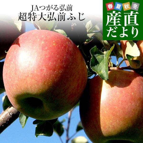 青森県より産地直送 JAつがる弘前 弘前ふじ 超大玉 5キロ (9玉から11玉) 送料無料 りんご ...