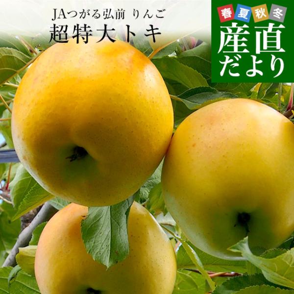 青森県より産地直送 JAつがる弘前 トキ 超大玉 5キロ (9玉から10玉) 送料無料 りんご リン...