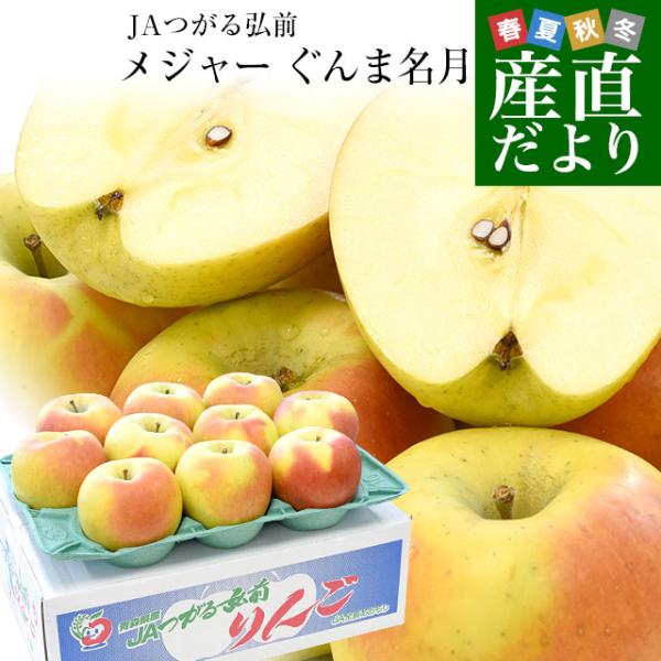 青森県より産地直送 JAつがる弘前 メジャー ぐんま名月 約3キロ（8玉から11玉）送料無料 りんご...