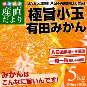 送料無料 和歌山県から産地直送 JAありだ 極旨小玉 有田みかん 5キロ（60個から80個）蜜柑 ミカン