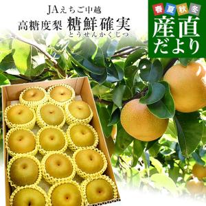 新潟県より産地直送 JAえちご中越 糖度13度以上 高糖度梨 最上位等級「糖鮮確実 (とうせんかくじつ)」 約５キロ (12玉から14玉) なし ナシ 送料無料｜sanchokudayori