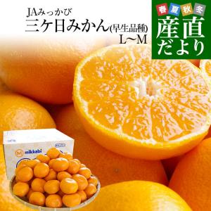 静岡県より産地直送 JAみっかび 三ケ日みかん (早生品種)  LからMサイズ  4キロ 送料無料 三ヶ日 みつかび ミカン 温州みかん｜sanchokudayori