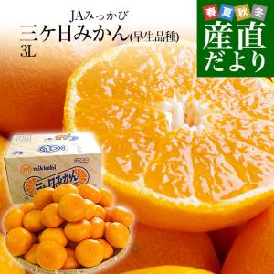 静岡県より産地直送 JAみっかび 三ケ日みかん (早生品種)  ３Lサイズ 7キロ (30玉から40玉）送料無料 三ヶ日 みつかび ミカン 温州みかん｜sanchokudayori