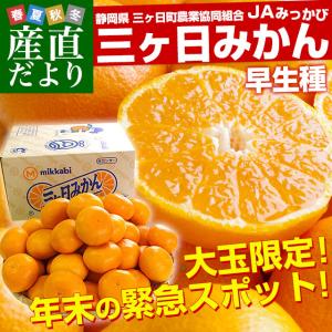 静岡県より産地直送 JAみっかび 三ケ日みかん (早生品種) 大玉2Lから3Lサイズ 7キロ (30玉から50玉）送料無料 三ヶ日 みつかび ミカン 温州みかん｜sanchokudayori