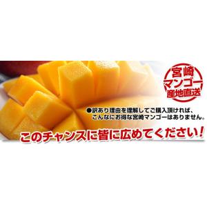宮崎県より産地直送 JAみやざき宮崎中央地区本...の詳細画像5
