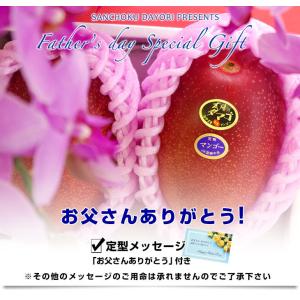 【遅れてごめんね父の日ギフト】宮崎県より産地直...の詳細画像3