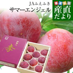 山梨県より産地直送 JAふえふき石和支所 石和のサマーエンジェル