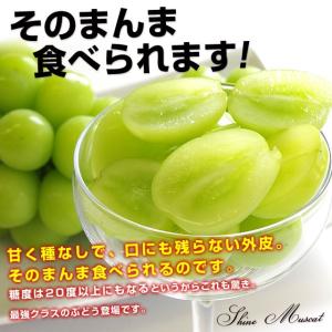 山梨県産 JAふえふき 大型シャインマスカット...の詳細画像3