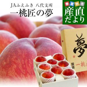 山梨県より産地直送 JAふえふき八代支所 八代の桃 超特選 一桃匠の夢 3キロ （7玉から9玉） 送料無料 お中元 御中元 ギフト もも モモ