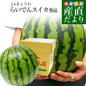 北海道より産地直送 JAきょうわ らいでんスイカ 超特大 優品5Lサイズ