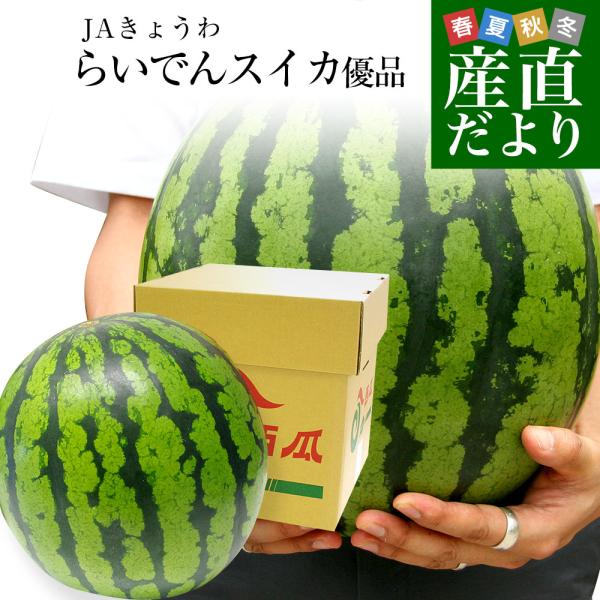 北海道より産地直送 JAきょうわ らいでんスイカ 超特大 優品5Lサイズ 10キロ以上 すいか 西瓜...