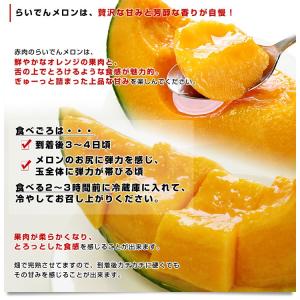 北海道より産地直送 JAきょうわ らいでんメロ...の詳細画像4