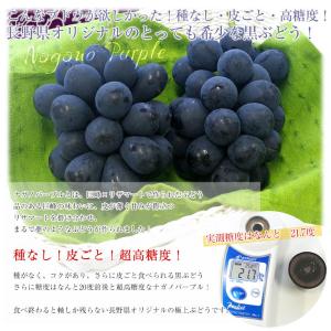 長野県産 ナガノパープル 秀品 約1.5キロ(...の詳細画像3