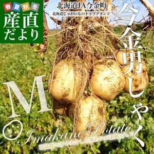 送料無料　北海道より産地直送　ＪＡ今金町のじゃがいも　今金男爵　Mサイズ　約10キロ　馬鈴薯　ジャガイモ　男爵