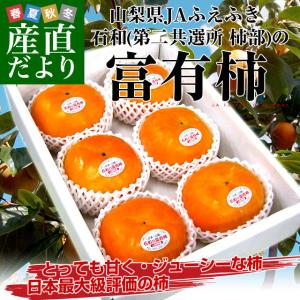 山梨県より産地直送 JAふえふき 石和支所 第二共選所の富有柿 2LまたはLサイズ 約1.5キロ (6玉から7玉) 送料無料 かき カキ