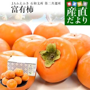 山梨県JAふえふき 石和支所 第二共選所の富有柿 Lサイズ 約2.3キロ (10玉入り) 送料無料 かき カキ
