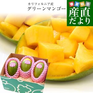 カリフォルニア　グリーンマンゴー（キーツマンゴー）大玉厳選4L　約1.7キロ（3玉入）送料無料 クール便 マンゴー キーツマンゴー トロピカルフルーツ