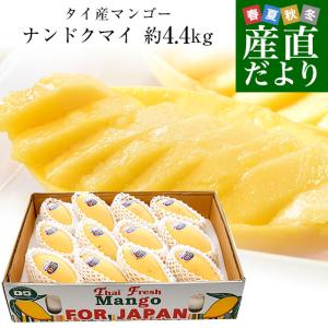 タイ産マンゴー ナンドクマイ 大玉厳選 約4.4...の商品画像