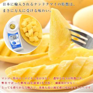タイ産マンゴー ナンドクマイ 大玉厳選 約4....の詳細画像4