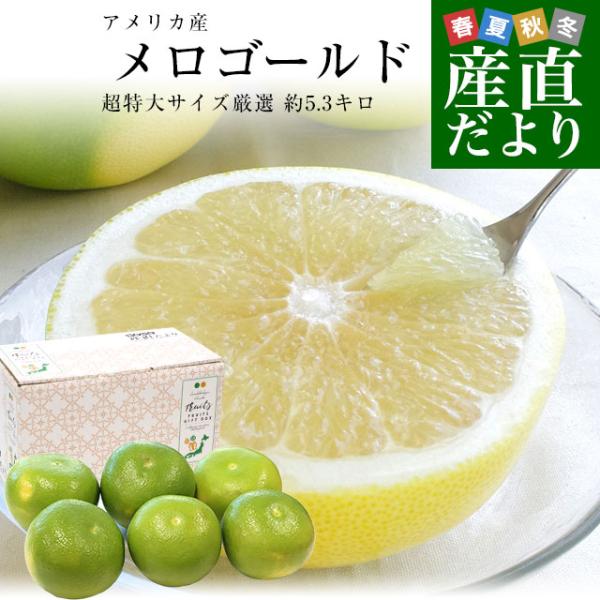 アメリカ産 メロゴールド 超特大サイズ 約5.3キロ（6玉）送料無料 グレープフルーツ 柑橘 市場発...
