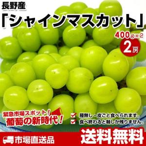 長野産　シャインマスカット　400g以上２房