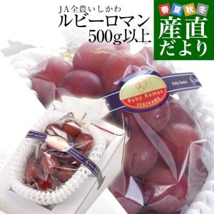石川県産 JA全農いしかわ ルビーロマン 秀品1房 500g以上 化粧箱入り 葡萄 ぶどう 送料無料 ※クール便爆買
