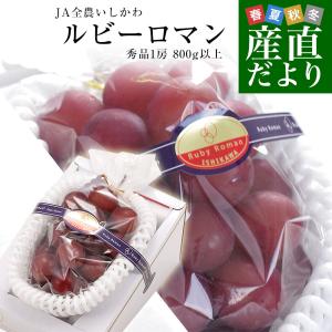 石川県産 JA全農いしかわ ルビーロマン 秀品 特大1房 800g以上 化粧箱入り 葡萄 ぶどう 送料無料 ※クール便爆買