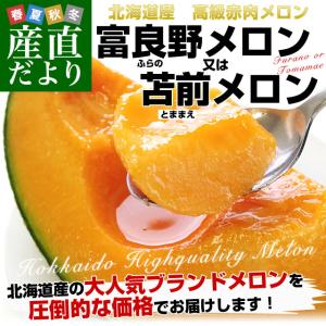 北海道産 北海道赤肉メロン 優品以上 (ふらのメロンまたは、とままえメロン) 合計8キロ 4玉から6玉入り 富良野メロン 苫前メロン 送料無料 市場スポット