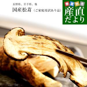 国産松茸（ご家庭用・訳あり品）身の割れ、欠け、規格外含む 200g以上（2本から10本） 送料無料 クール便 まつたけ マツタケ 市場発送