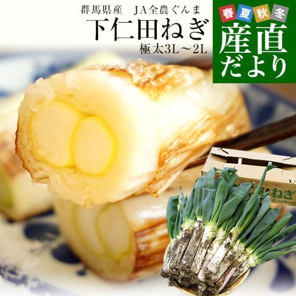 群馬県産 JA全農ぐんま 下仁田ねぎ 約4キロ（3Lから2L 15本から20本） 送料無料　市場発送...